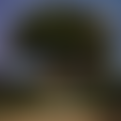 Banyan & Aging in place