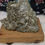 Thumbnail: Pyrite Raw Cluster