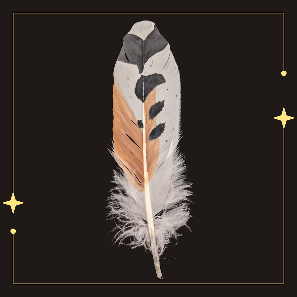 simulated quail feather