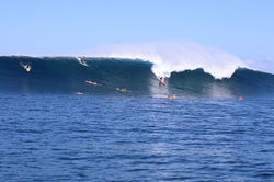 tres raymond king_muschett copy