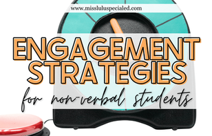 Website banner with text: "Engagement Strategies for Non-Verbal Students." Features a red assistive technology button and adapted spinner for students with disabilities.