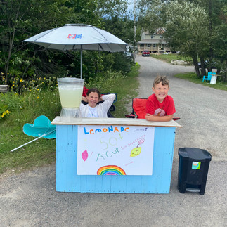 Two children sit at a homemade lemonade stand in the sunshine with a large jug of lemonade. their sign reads "Lemonade 50ct a cup!" and has hand-drawn pictures of lemons and a rainbow. 