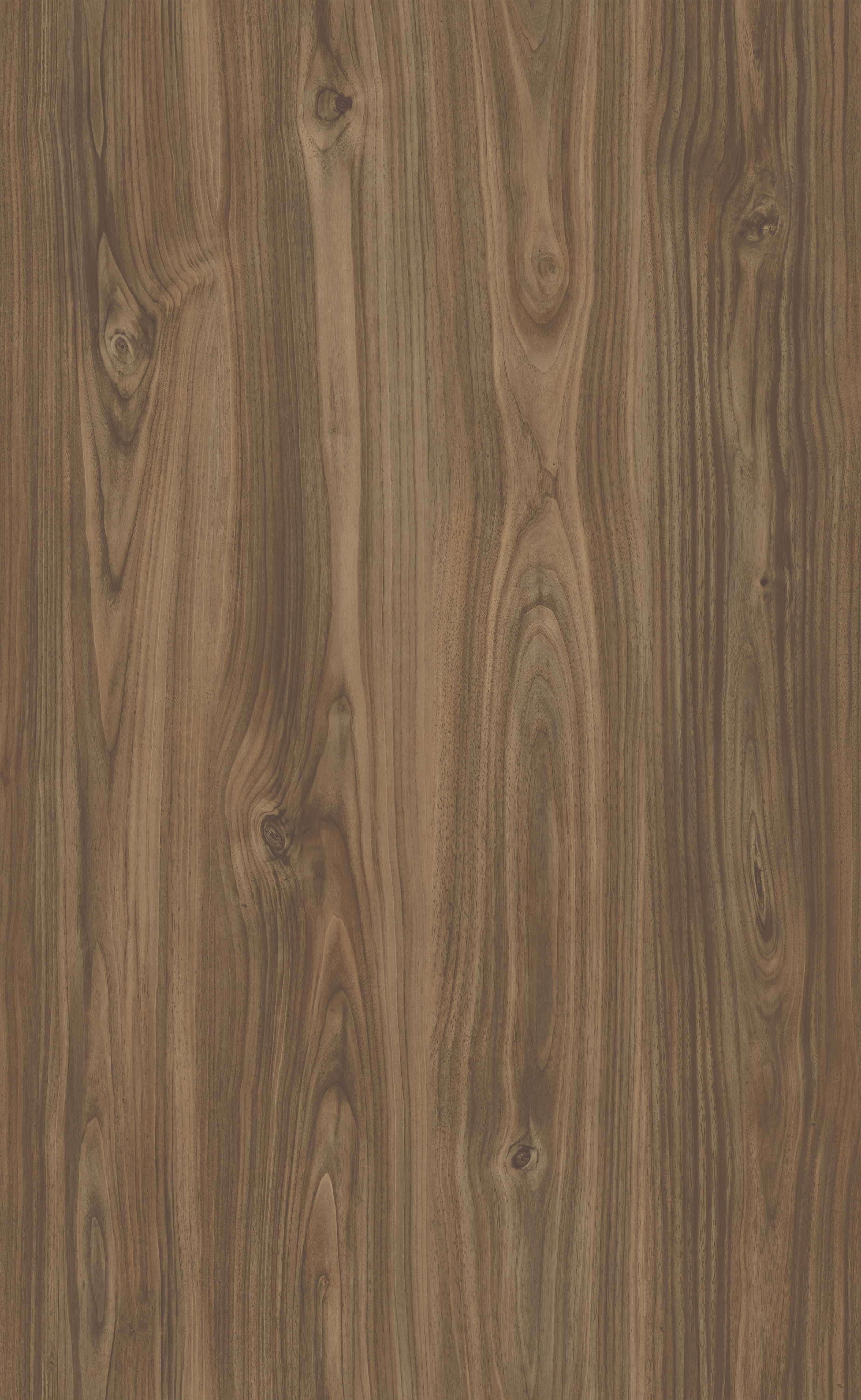 MDFLAM LAKPANEL SUPERIOR GLOSSY Mona SGL_96B 2100*2800 GRX