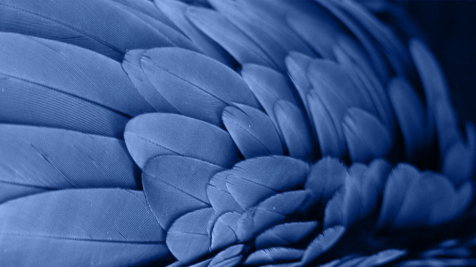 Миниатюра: MDFLAM Mavi VT_025 Yıldız Grup