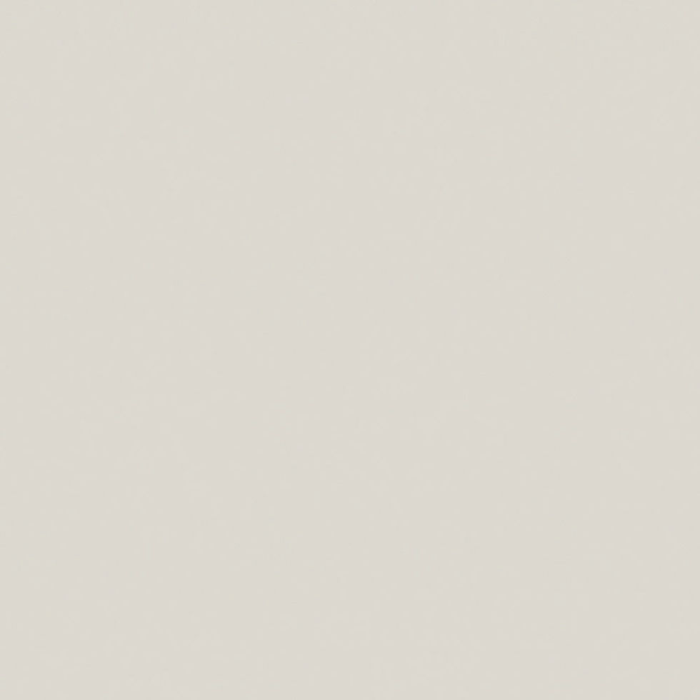 MDFLAM Buz Gri D217 Kastamonu Entegre GRUP 2 Düz Renk