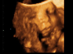 BABY MARRUFFO_0002.jpg