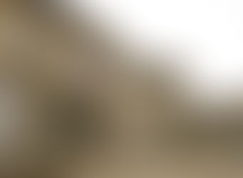 Assurance-vie : faut-il alimenter son contrat avant l’élection présidentielle ?