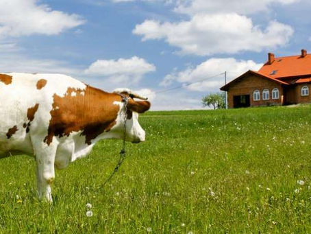 L'immobilier est une vache à lait, les statistiques officielles le montrent.