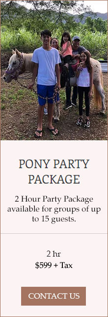 Package-02-PonyPartyPackage-Sept2025.jpg