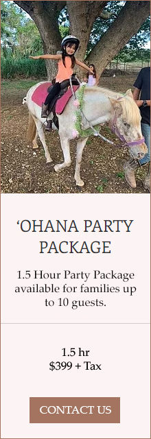 Package-01-OhanaPartyPackage-Sept2025.jpg