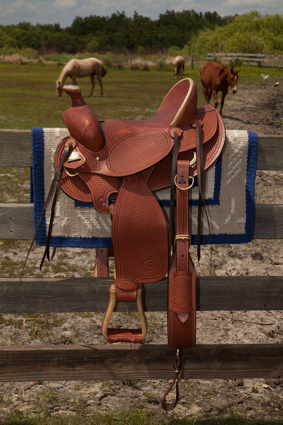 Tough One Saddle