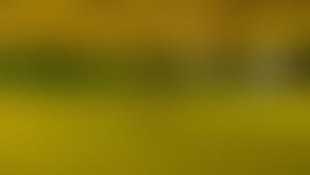 4月マンスリー初級ランキング！