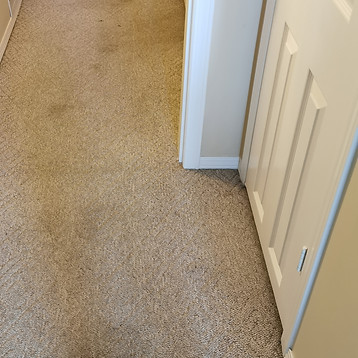 halls1.jpg