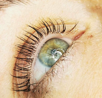 Lash lift & tint avaliable at Halo Nails based in Loose, Maidstone ME15 6BZ