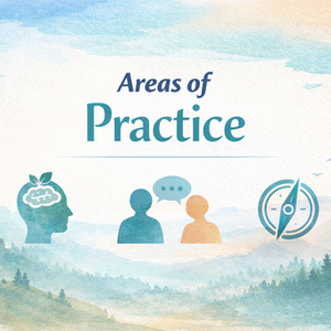 Areas of Practice