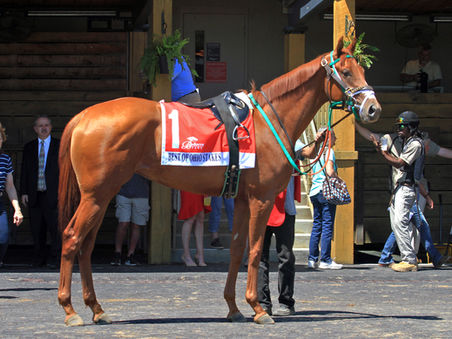 JUST THE FACTS, JACK – FIRST HALF BRINGS ACTION AND PROFIT DOMINUS – CHAMPION OHIO STALLION SUCCUMBS AT 18