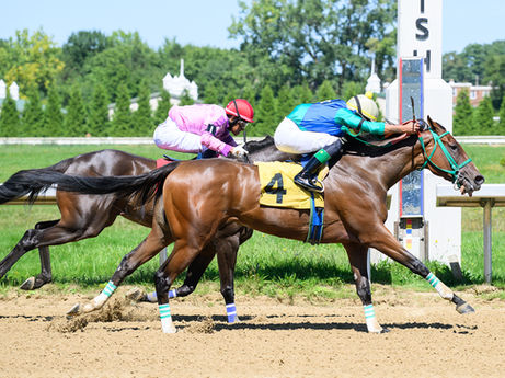 3-YEAR-OLD SPUN IN DOMINUS SCORES - BREAKING THE $100,000 MARK