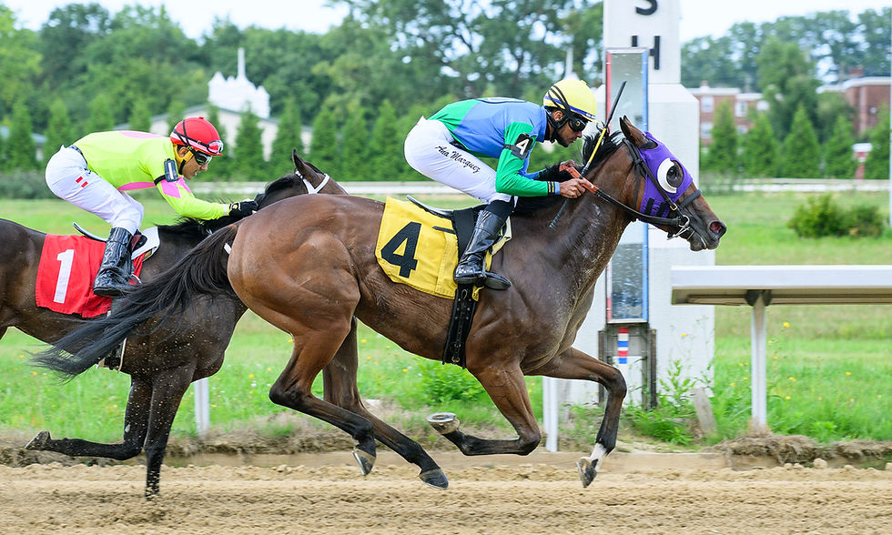 Over the Falls had them over a barrel in her recent score