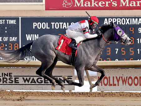 Dr. Spirito hopes to get back to the winners with Rocco Bowen in the saddle.