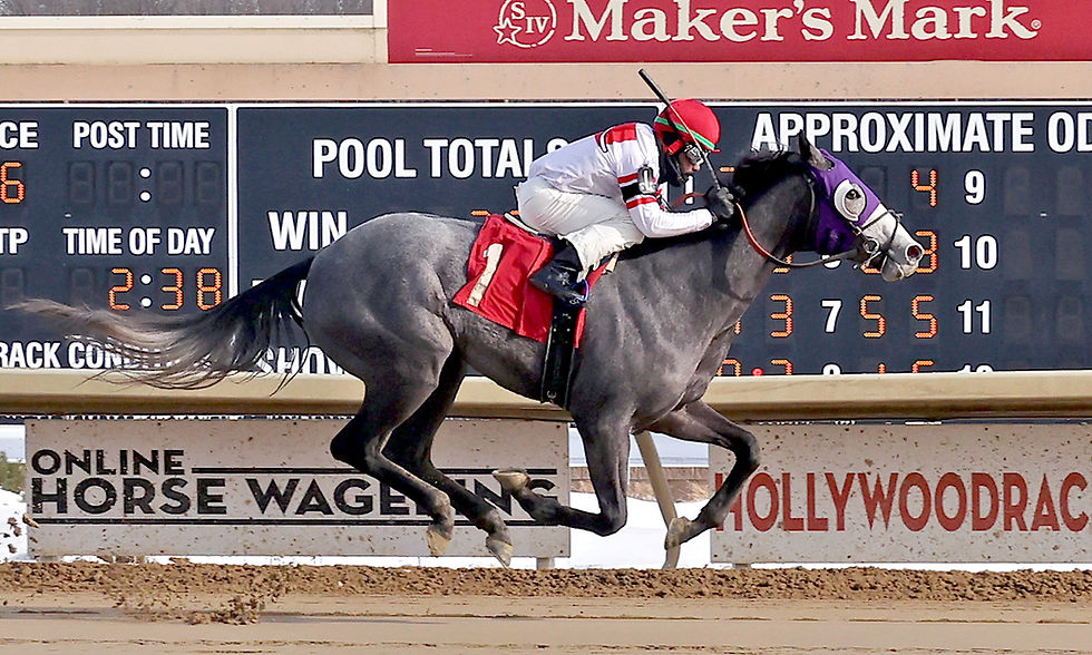 Dr. Spirito hopes to get back to the winners with Rocco Bowen in the saddle.