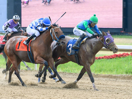 LOFTY COWTOWN BREAKS THE $200,000 MARK FOR HMDC AND TASTE OF VICTORY STABLES