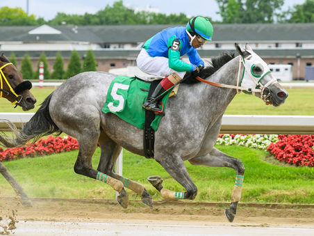 COMMISSIONER D ON A THREE-RACE WINNING SKEINGRAY PERFECTION HOPES TO DO THE SAME