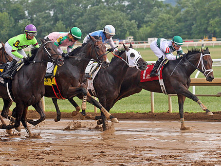 THE ACTION CONTINUES THIS WEEK AT THISTLEDOWN AS TWO HMDC AND PARTNERS RUNNERS HEAD TO POST