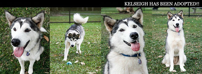 KELSEIGH has found her furrytail ending!