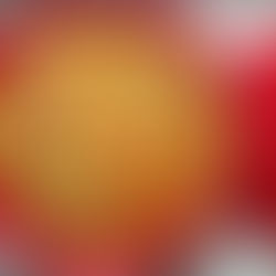 One-Pot Spiced Rice with Capsicum