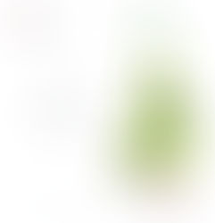 Merry Christmas & Happy New Year 2025!