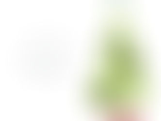 Merry Christmas & Happy New Year 2025!