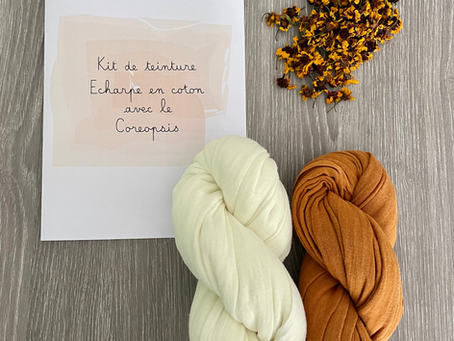 Kit de teinture : écharpe en teinture végétale