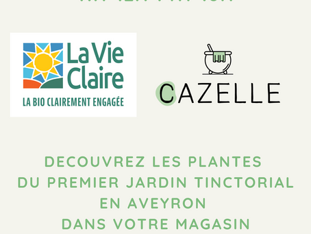 La Vie Claire x Cazelle