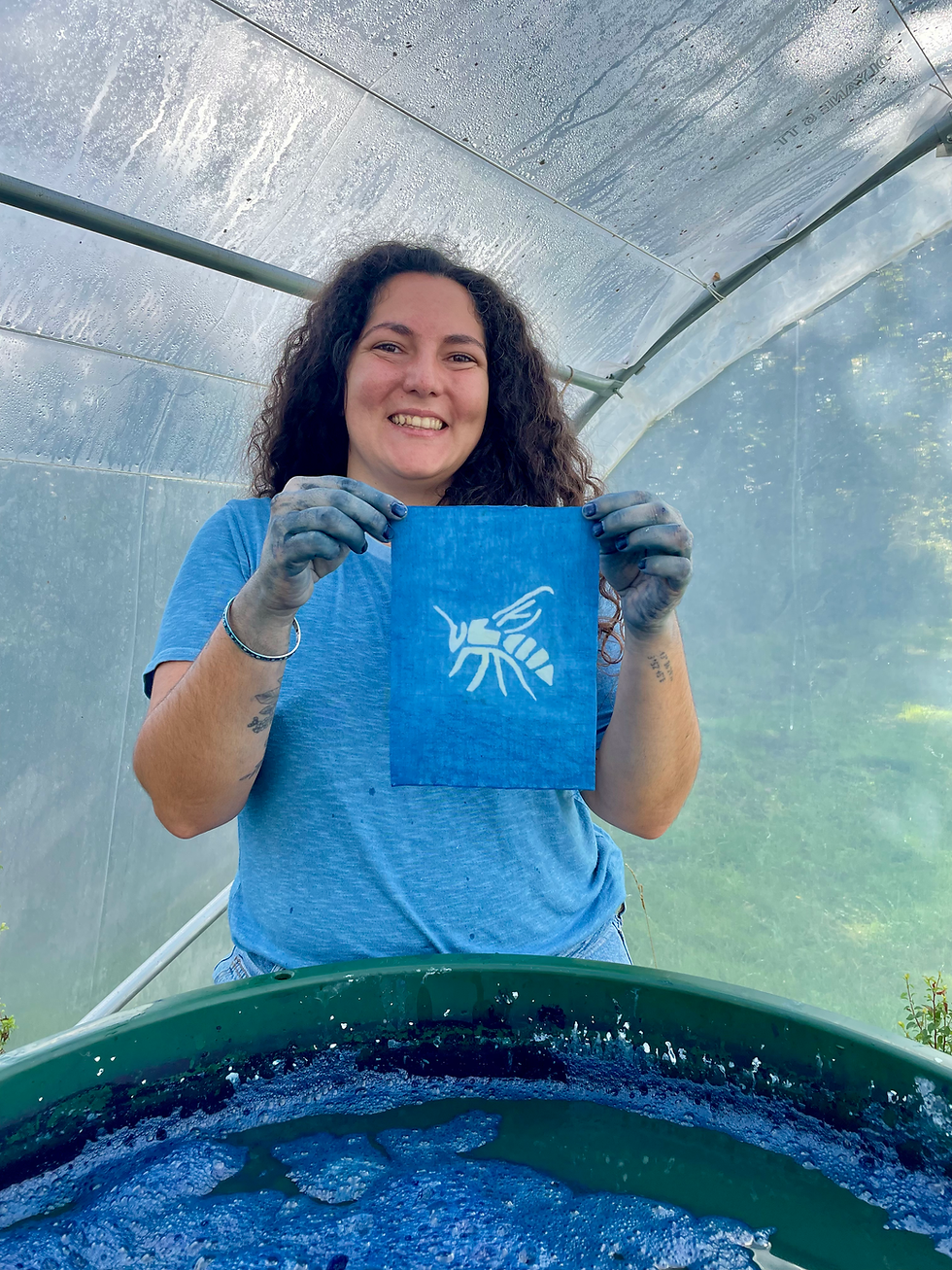 inktober 2025 - Cazelle - teinture végétale - indigo - katazome