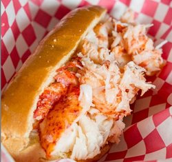 Maine Lobster Roll