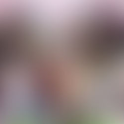 Touken Ranbu: Hanamaru