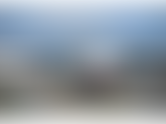 Reflecting on the 2011 Tohoku Earthquake