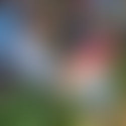 Important Update Regarding Program Name & NDIS Update