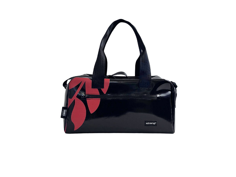 Bauletto Volverup visto frontalmente