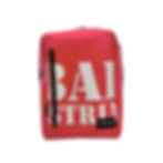 Zaino Pro Vintage Sostenibile Multiuso