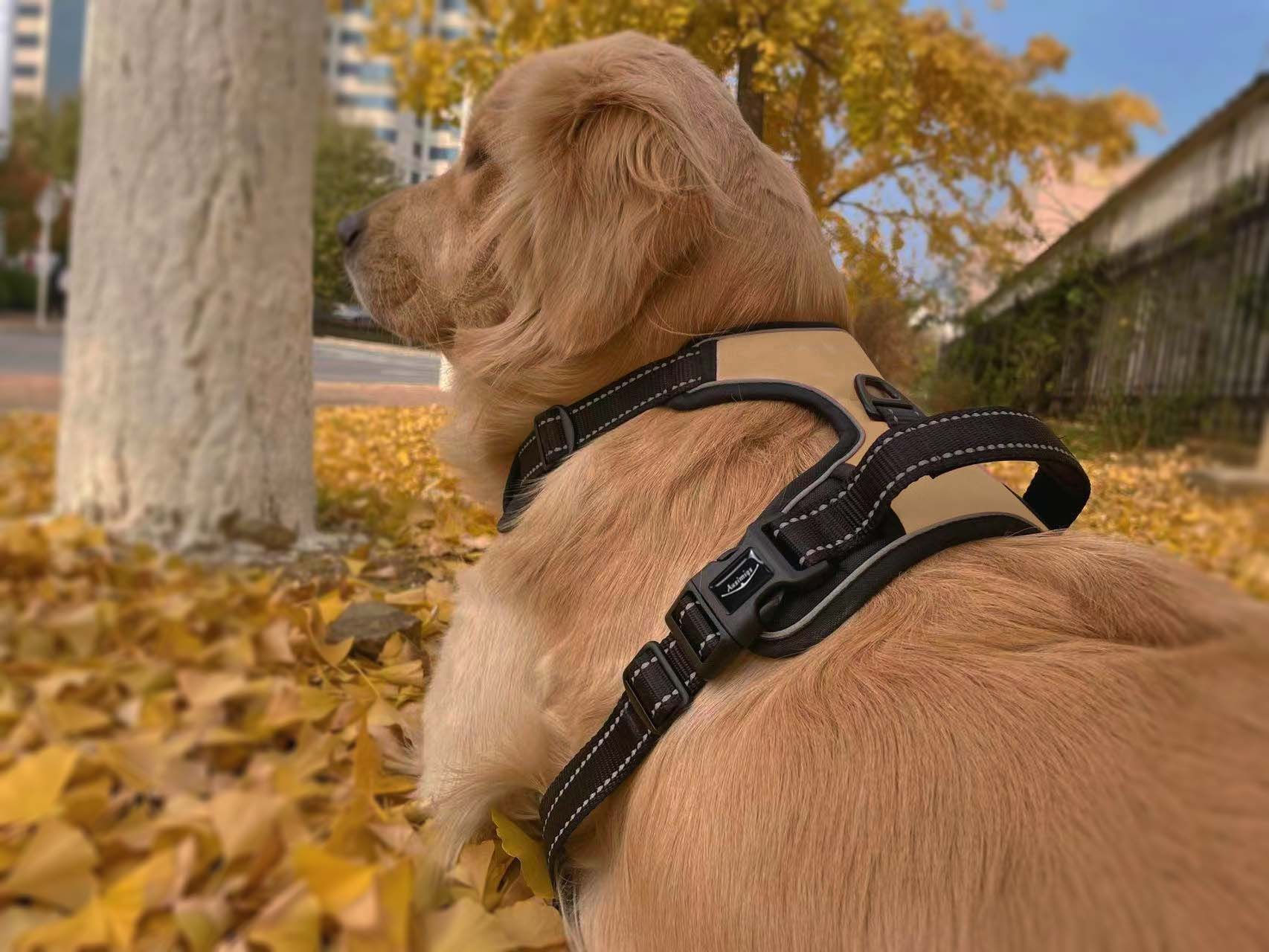 No-Pull Dog PU Leather Y Harness (Brown)