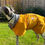 Thumbnail: Rain Rover Mustard Yellow