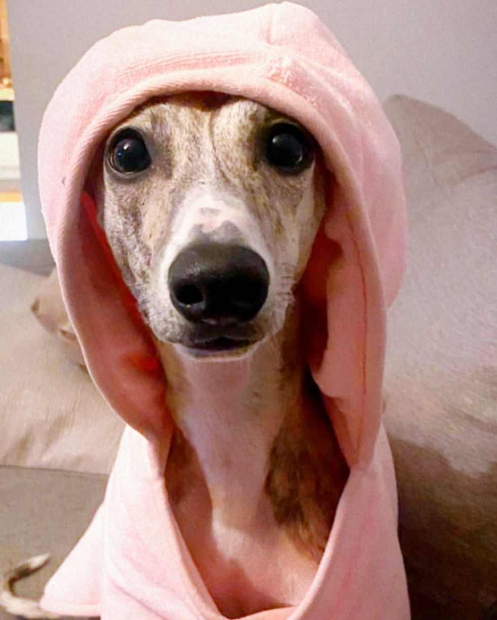 Thumbnail: Pet Cozy Bathrobe Pink