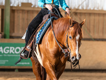 Eine Reiterin in Westernkleidung mit hellblauer Bluse und Cowboyhut reitet ein braunes Pferd mit weißer Blesse in einer Reithalle. Das Pferd trägt einen farblich abgestimmten Westernsattel mit blauen Akzenten, während die Reiterin konzentriert nach vorne blickt.