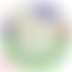 Pastor’s Corner    “Introducing the Rev. Addie Anderson”