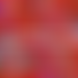 Celebrate With Our Grads!