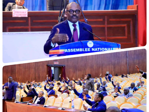 Économie|RDC : L' Assemblée nationale vote une loi profitable au secteur financier