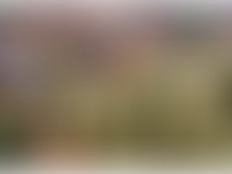 Afrique|Coup au d'État Niger : Les putschistes durcissent le ton contre Sylvain Itté.