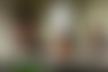 Asia Foundation Development Fellows: Emerging Leadership for Asia’s Future