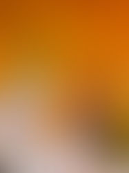 5 Vendor Red Flags and How To Protect Yourself